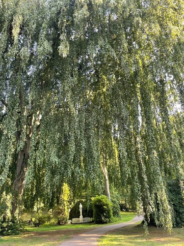 Friedhof Ohlsdorf