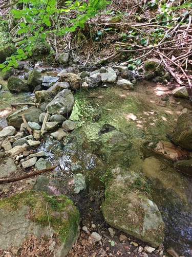 Fischweiher Rundwanderung