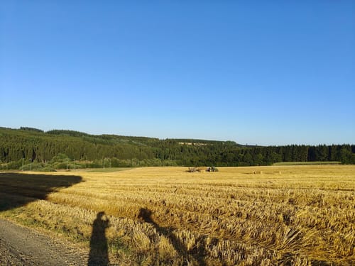 EifelSpur Dahlemer Quellenpfad