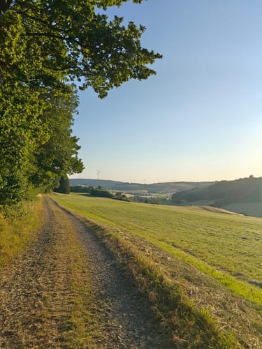 EifelSpur Dahlemer Quellenpfad