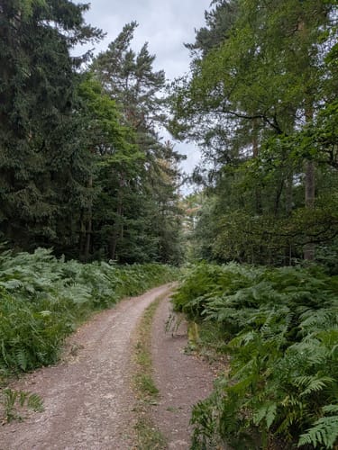Rurseerunde in 3 Etappen