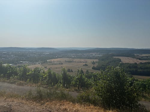 Zum Portnersberg