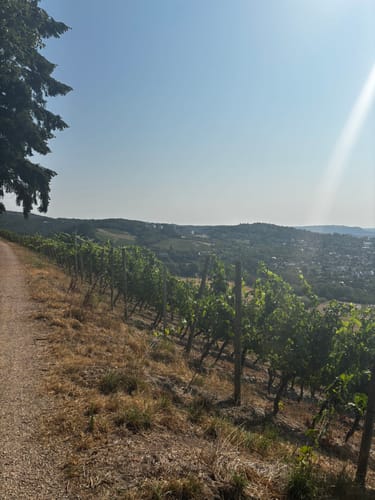 Zum Portnersberg