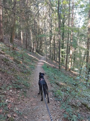 Zur Burg Neuenfels über Britzingen