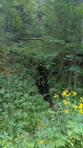 Rund um den Höhberg