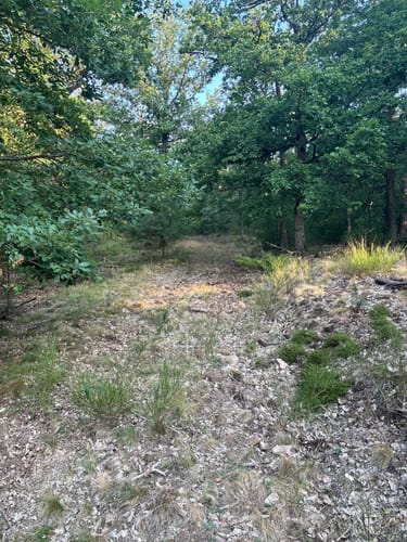 Rundwanderweg Frei-Laubersheim 22