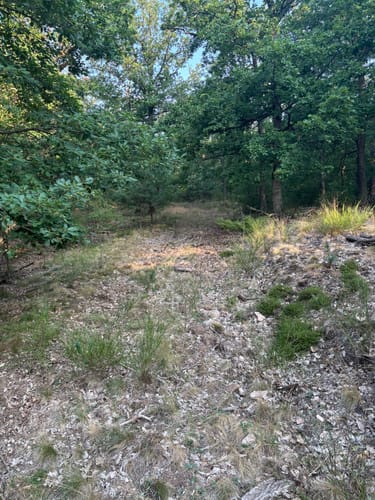 Rundwanderweg Frei-Laubersheim 22