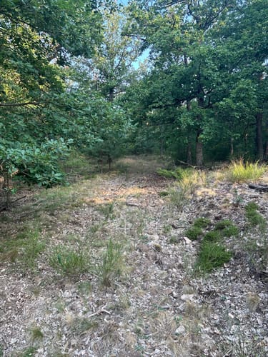 Rundwanderweg Frei-Laubersheim 22