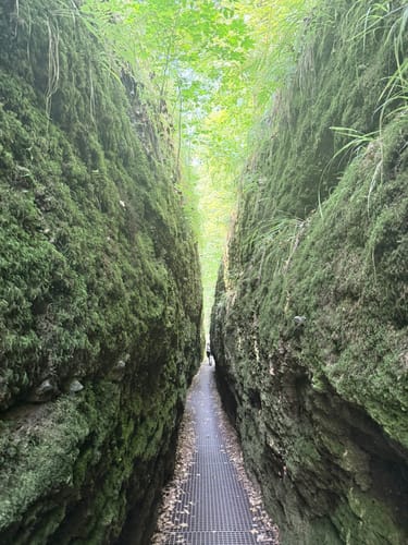 Eisenach - Hohe Sonne - Drachenschlucht