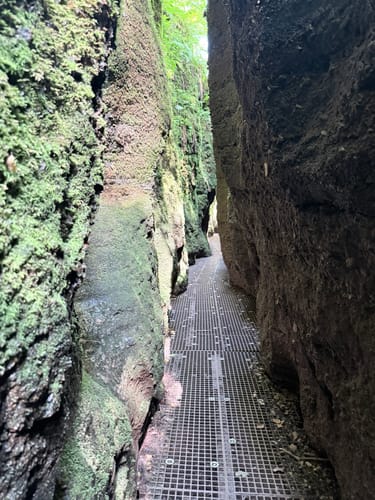 Eisenach - Hohe Sonne - Drachenschlucht