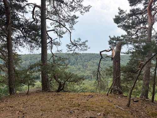 Felsenweg 5 - Prümer Burg (NaturWanderPark delux)