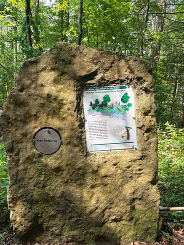Felsenweg 5 - Prümer Burg (NaturWanderPark delux)