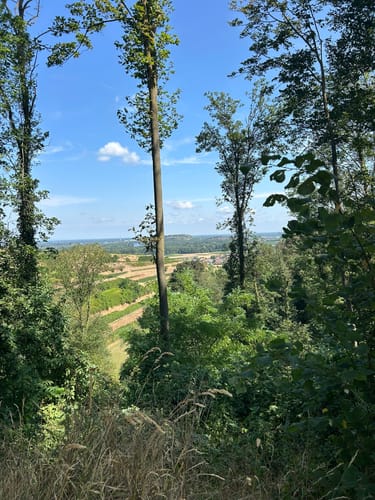 Rhein-Burg Sponeck-Burgheim-Jechtingen
