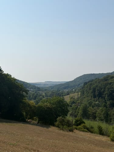 Felsenweg 5 - Prümer Burg (NaturWanderPark delux)