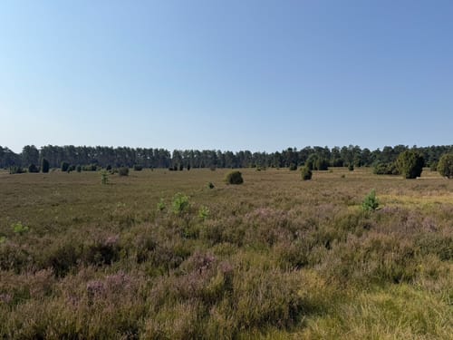 Egestorf - Voßmoor - Wilsede
