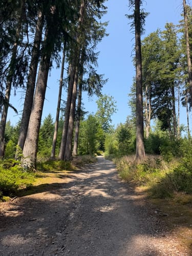Titisee Rundweg
