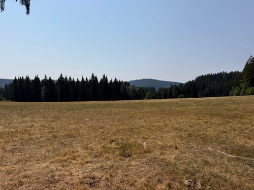 Titisee Rundweg