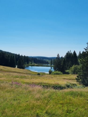 Okertal Rundweg