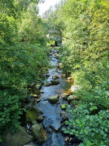 Okertal Rundweg