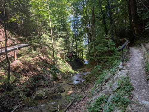 Wald-Lehrpfad Teisendorf