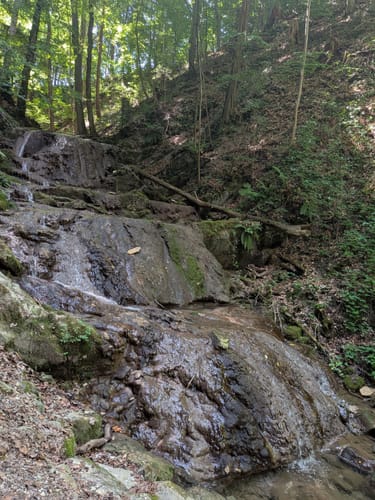 Wald-Lehrpfad Teisendorf