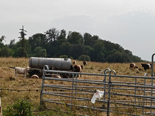 Um den Alten Stollenberg und Gipskarstlandschaft Heimkehle
