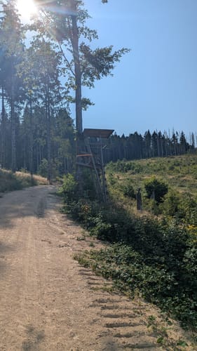 Rund um den Höhberg