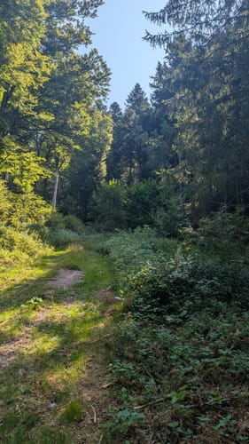 Rund um den Höhberg