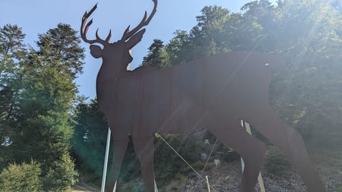 Rund um den Höhberg