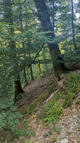Rund um den Höhberg