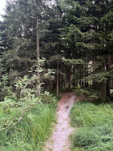 Schliffkopf Rundweg