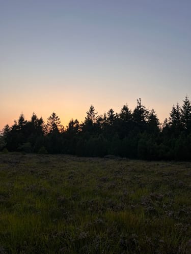 Schliffkopf Rundweg