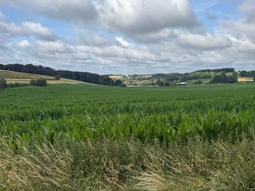 R 05: Durch die Baumberge zwischen Billerbeck und Nottuln