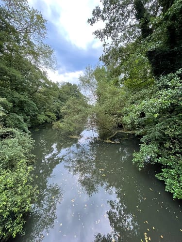 Alsterwanderweg: Ratsmühlendammbrücke - Bäckerbrücke