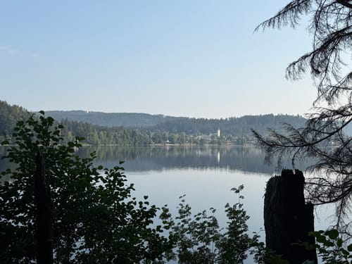Titisee Rundweg