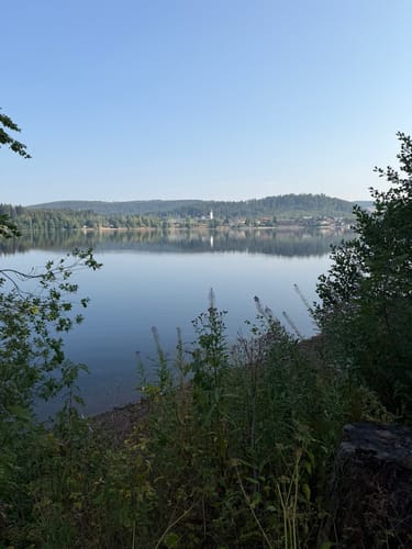 Titisee Rundweg