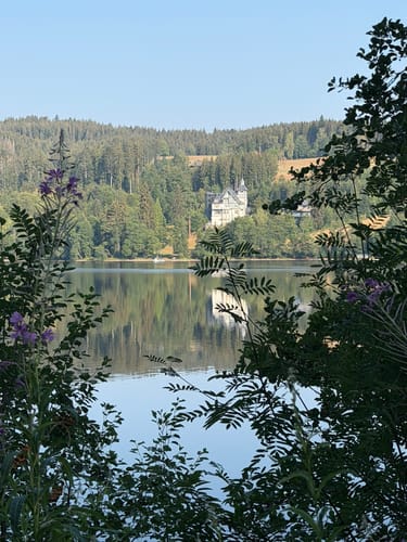 Titisee Rundweg