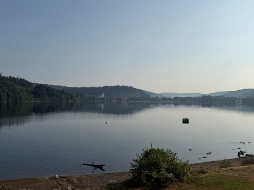 Titisee Rundweg