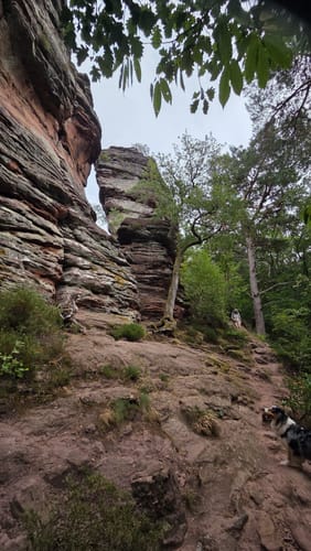 Burg Trifels