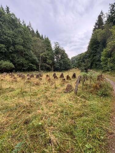 EifelSchleife Eisvogelwanderweg Hellenthal