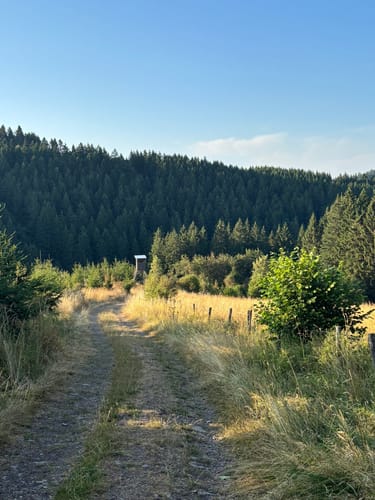 EifelSchleife Eisvogelwanderweg Hellenthal