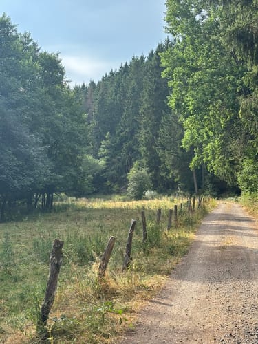 EifelSchleife Eisvogelwanderweg Hellenthal