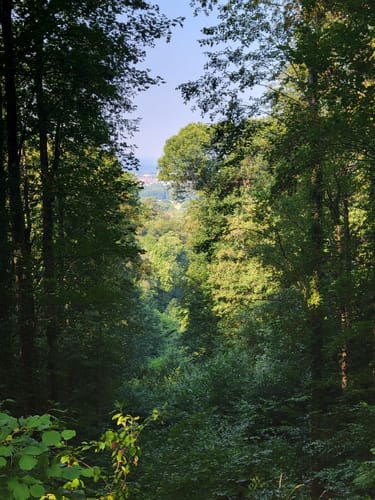 Schlossbergtour (Premiumwanderweg)