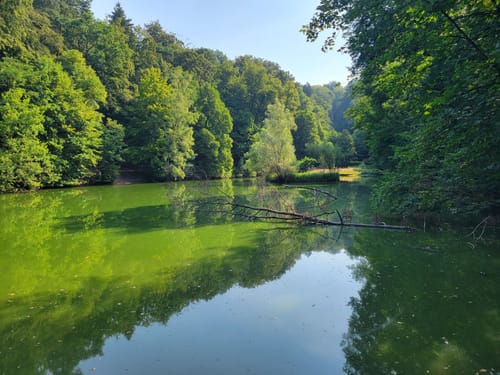 Schlossbergtour (Premiumwanderweg)