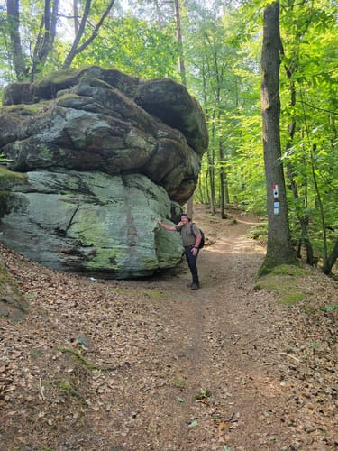 Schlossbergtour (Premiumwanderweg)