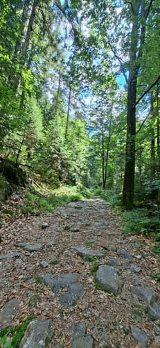 Rundwanderweg Kleiner Arbersee
