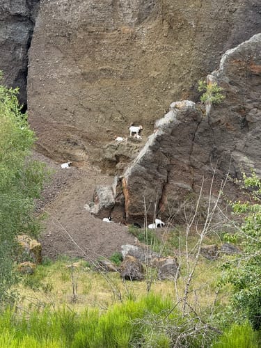 Georundweg Steffeln