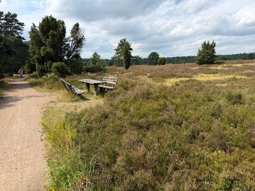 Lüneburger Heide: Einem Sand - Niederhaverbeck