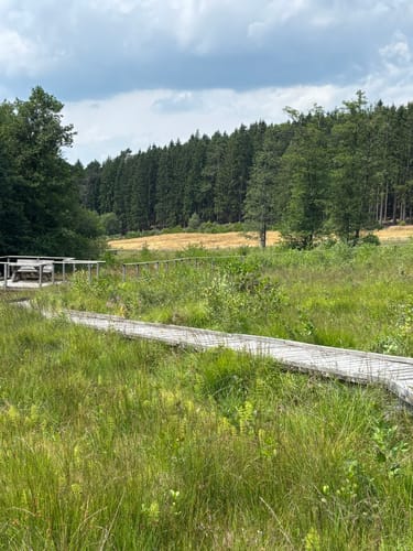 Rundweg D2 (Dahlem)