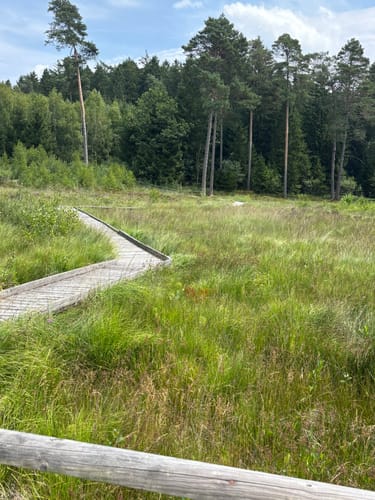 Rundweg D2 (Dahlem)